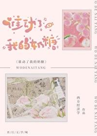 谁动了我的糖果npc