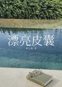 漂亮皮囊by一粒盐