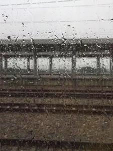 男友他成了厉鬼番外